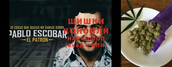 mix Козельск