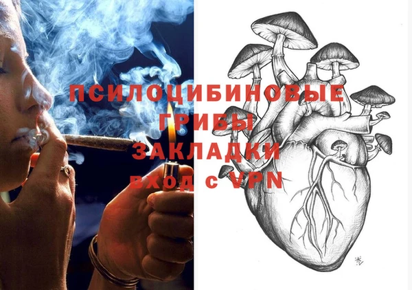 mix Козельск
