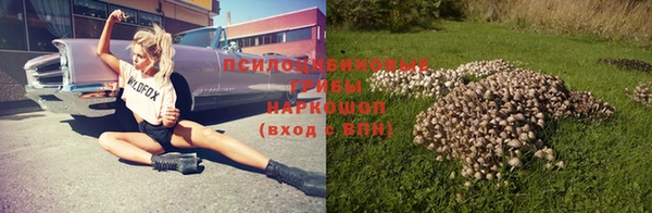 амфетамин Козловка