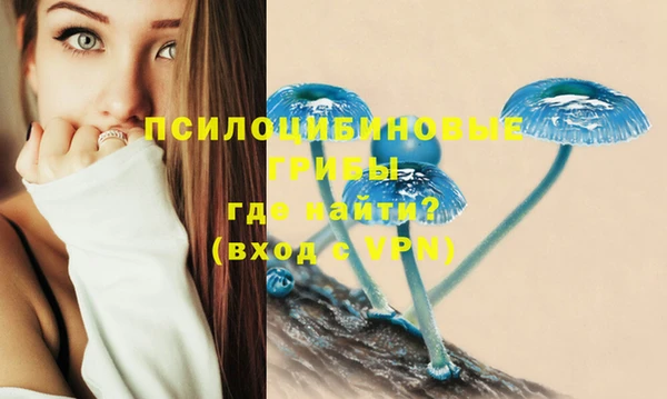 a pvp Кодинск