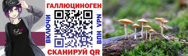 Псилоцибиновые грибы прущие грибы  Купить закладки  Уржум 